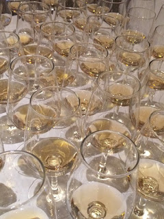 Tequila tasting glasses lined up