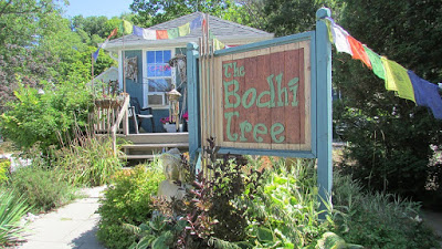 Bodhi Tree store in Port Stanley