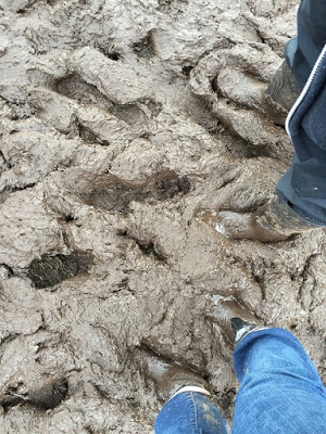 Mud at Wacken Open Air
