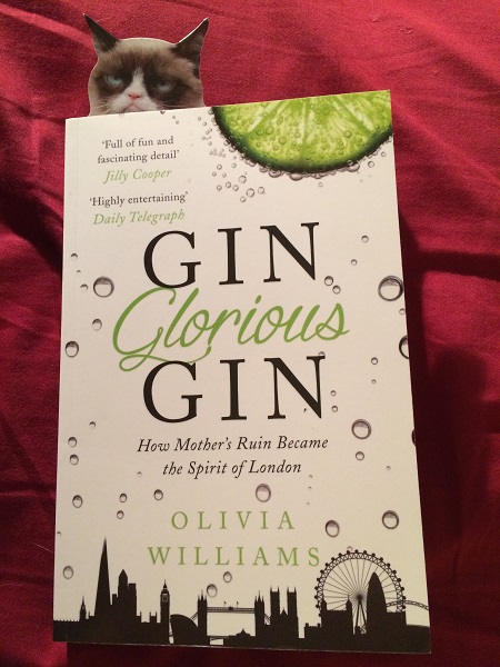 Gin Glorious Gin book