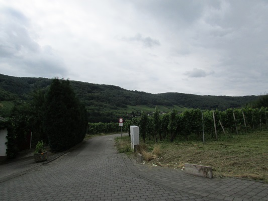 I can't wait to get back to running in the Mosel, Germany