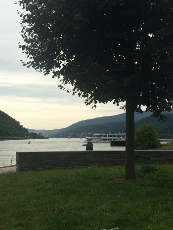 The Rhine River as seen from Bacharach, Germany.