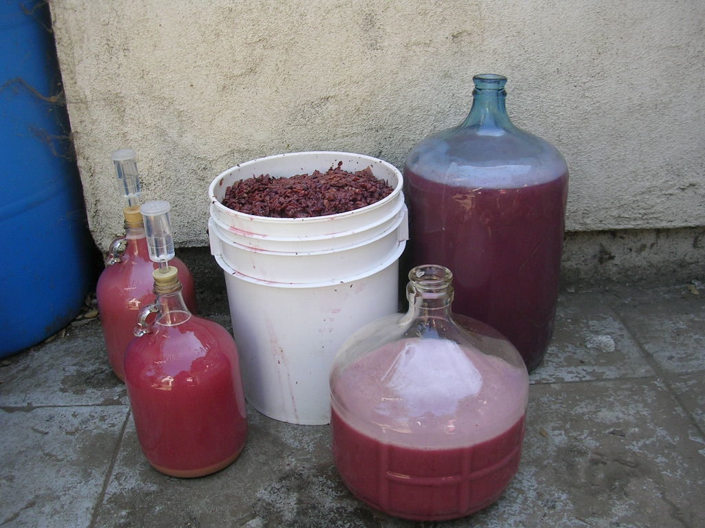 Making wine at home can be fun.
