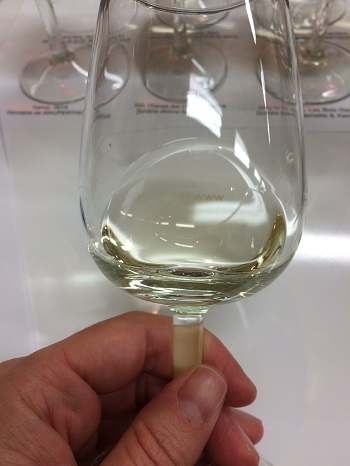 White wine tasting