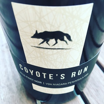 Coyote's Run Pinot Noir