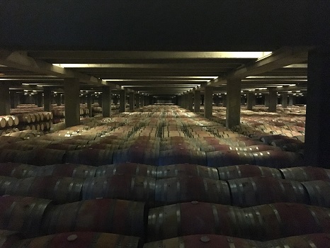 Campo Viejo barrel room