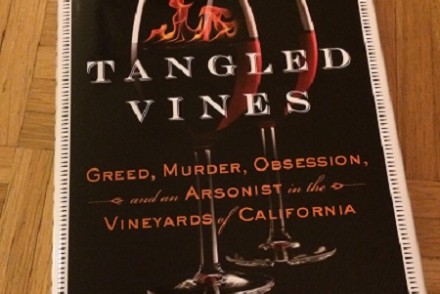 Tangled Vines Book