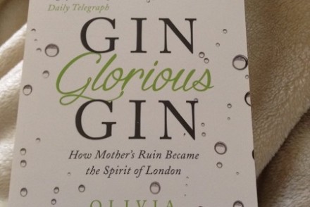 Gin Glorious Gin book