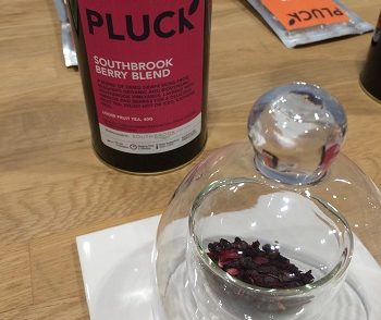 Pluck Tea Southbrook Berry Blend