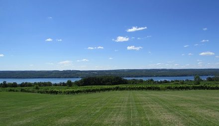 The View from Standing Stone Vineyards in The Finger Lakes.