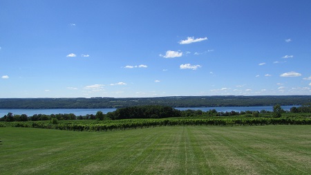 The View from Standing Stone Vineyards in The Finger Lakes.