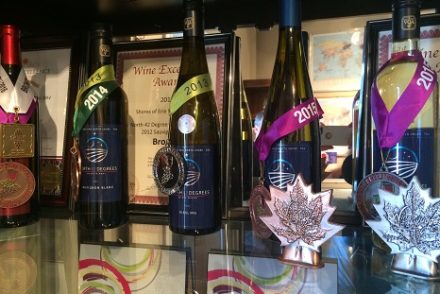 The award-winning wines of North 42 Degrees are worth a visit to Lake Erie North Shore.