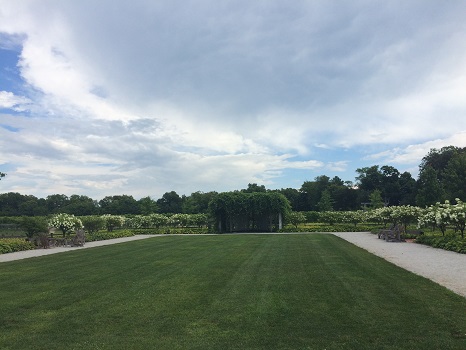 The grounds at Oxley Estate Winery in Lake Erie North Shore.