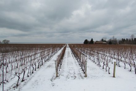 Niagara in winter