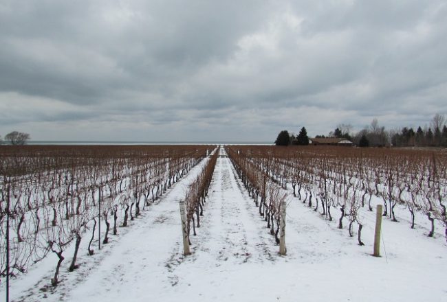 Niagara in winter