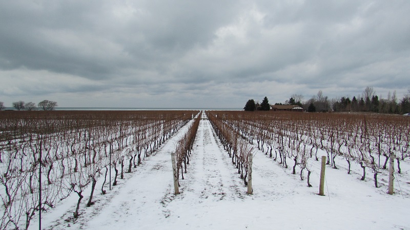 Niagara in winter