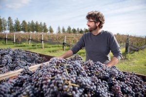 Quai Du Vin Winemaker Jamie Quai